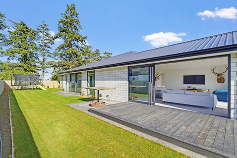 Photo of property in 3 Jag Way, Tinwald, Ashburton, 7700