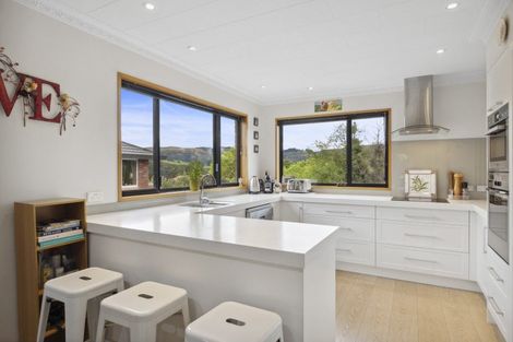 Photo of property in 14 Park Lane, Fairfield, Dunedin, 9018