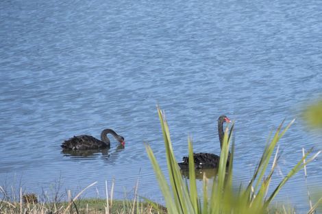 Photo of property in 1735 Queen Charlotte Drive, Linkwater, Picton, 7281