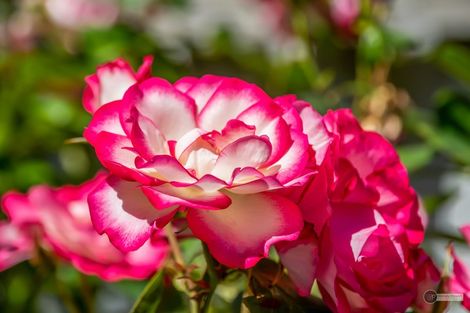 Photo of property in 2/2 Haig Street, Waterloo, Lower Hutt, 5011