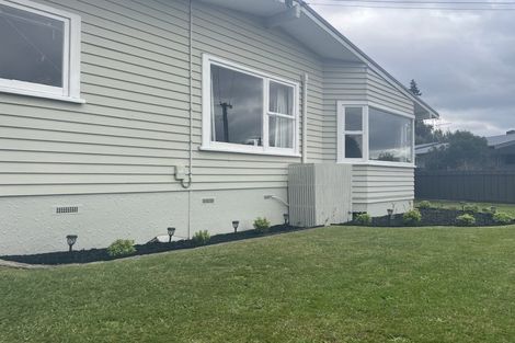 Photo of property in 41 Fitzroy Avenue, Fitzroy, Hamilton, 3206