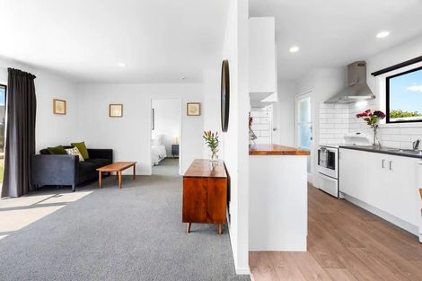 Photo of property in 503a Fenwick Street, Mayfair, Hastings, 4122