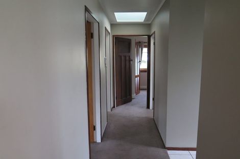 Photo of property in 209 Meola Road, Point Chevalier, Auckland, 1022