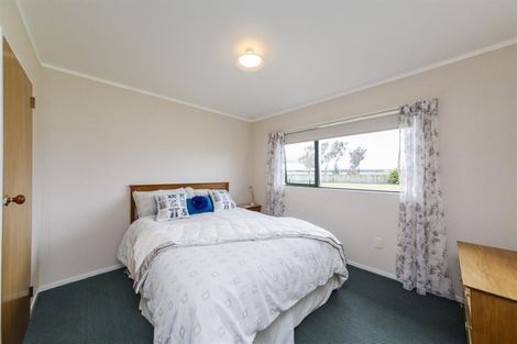 Photo of property in 197 Tutaenui Road, Marton, 4788