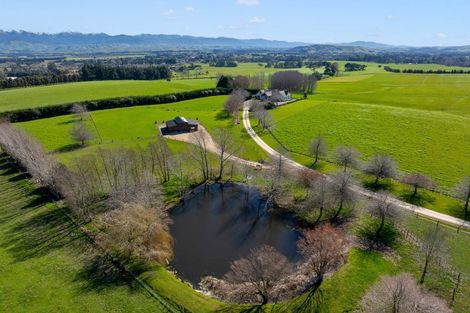 Photo of property in 311 Gordon Street, Lansdowne, Masterton, 5810