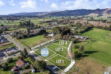 Photo of property in 48 Fairfield Road, Levin, 5510