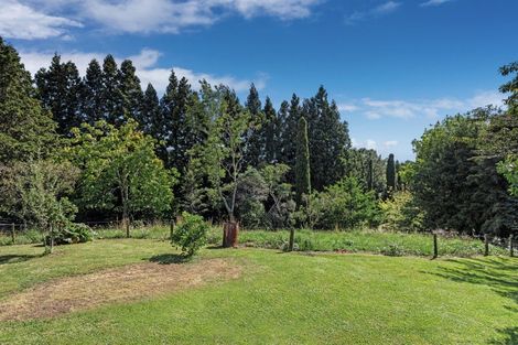 Photo of property in 681 Paerata Ridge Road, Waiotahe, Opotiki, 3198