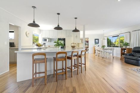 Photo of property in 10 Dairy Stream Road, Dairy Flat, Albany, 0794