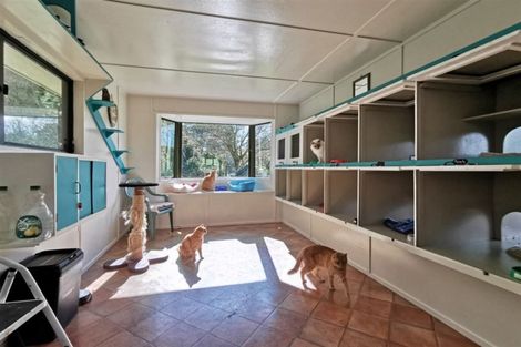 Photo of property in 381 Waihi Beach Road, Waihi, 3681