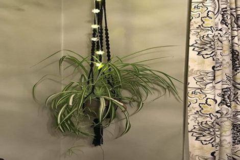 Photo of property in 10 Kings Avenue, Saint Kilda, Dunedin, 9012