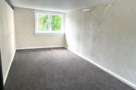 Photo of property in 53a Mckenzie Street, Geraldine, 7930