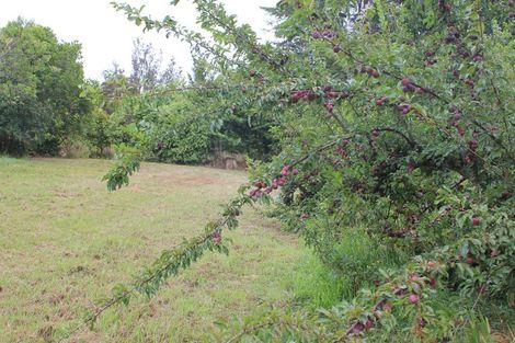 Photo of property in 81a Mcmillan Road, Tahawai, Katikati, 3170