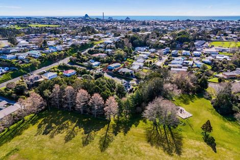 Photo of property in 3 Elizabeth Place, Ferndale, New Plymouth, 4310