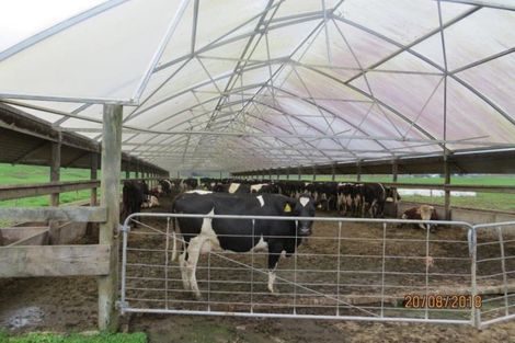 Photo of property in 23 Hinewai Road, Te Kawa, Te Awamutu, 3873