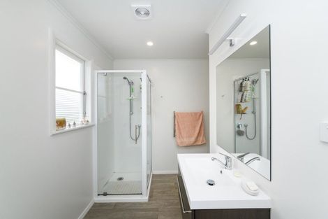 Photo of property in 100 Derby Street, Feilding, 4702