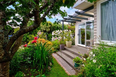 Photo of property in 66 Titoki Street, Lansdowne, Masterton, 5810