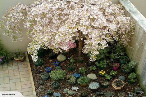 Photo of property in 29d Claudelands Road, Hamilton East, Hamilton, 3216