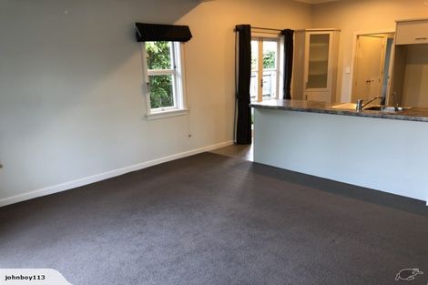 Photo of property in 58 Clarkin Road, Fairfield, Hamilton, 3214