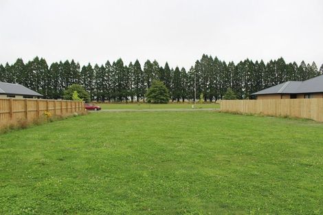 Photo of property in 45 Memorial Crescent, Methven, 7730