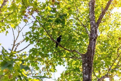 Photo of property in 14/91 Ruapehu Street, Paraparaumu, 5032