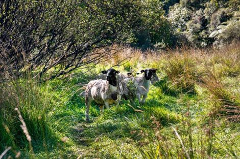 Photo of property in 29 Waiwhero Road, Barrytown, Runanga, 7873
