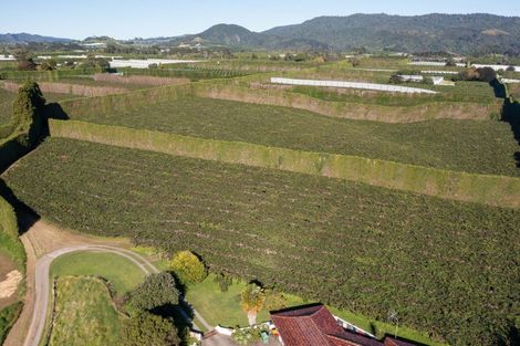 Photo of property in 81 Dunlop Road, Te Puke, 3119