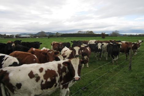 Photo of property in 411 Marychurch Road, Matangi, Hamilton, 3284