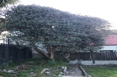 Photo of property in 8 Honiana Te Puni Street, Aro Valley, Wellington, 6021