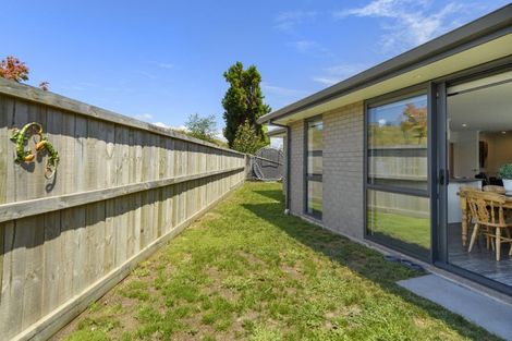 Photo of property in 17 Wai Huri Place, Omokoroa, 3114