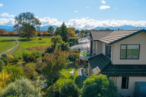 Photo of property in 19a Grady Street, Mayfield, Blenheim, 7201