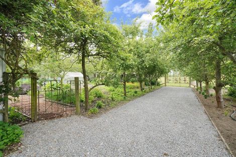 Photo of property in 923 Downs Road, Eyrewell, Rangiora, 7476