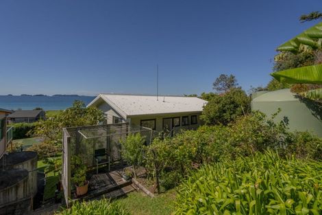 Photo of property in 874 Black Jack Road, Opito Bay, Whitianga, 3592