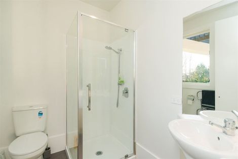 Photo of property in 191 Staces Road, Aokautere, Palmerston North, 4471