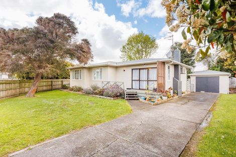 Photo of property in 27 Winchester Street, Awapuni, Palmerston North, 4412