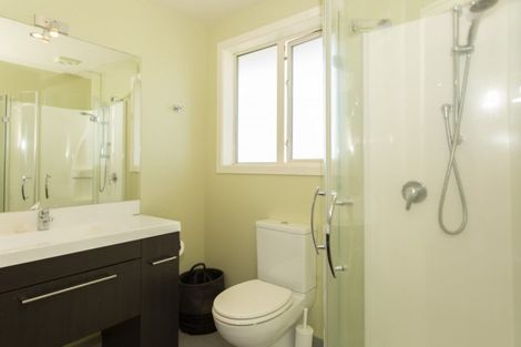 Photo of property in 19 Ludlow Drive, Huntingdon, Ashburton, 7774