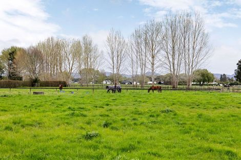 Photo of property in 54a Hartstone Road, Te Kowhai, Hamilton, 3288