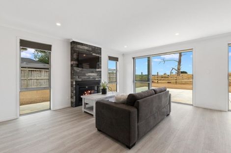 Photo of property in 17 Awanui Avenue, Te Kauwhata, 3710