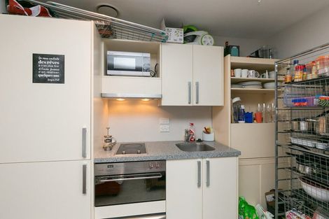 Photo of property in Dual Apartments, 511/142 Vivian Street, Te Aro, Wellington, 6011