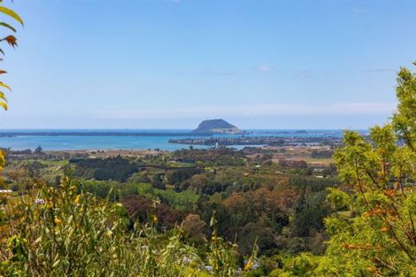 Photo of property in 17 Dawn View Place, Minden, Tauranga, 3176