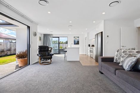 Photo of property in 45 Mcquillan Avenue, Woodend, 7610