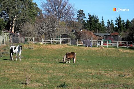 Photo of property in 738 Palmerston-dunback Road, Glenpark, Palmerston, 9483