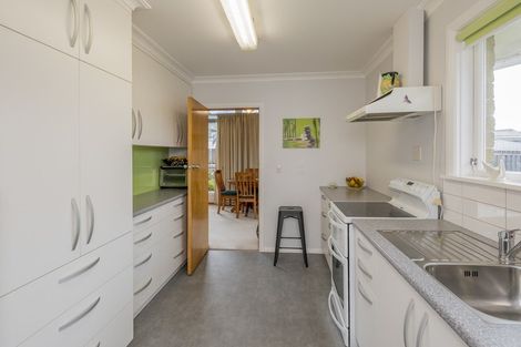 Photo of property in 17 Burn Street, Levin, 5510