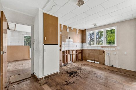 Photo of property in 63 Elizabeth Drive, Tokoroa, 3420