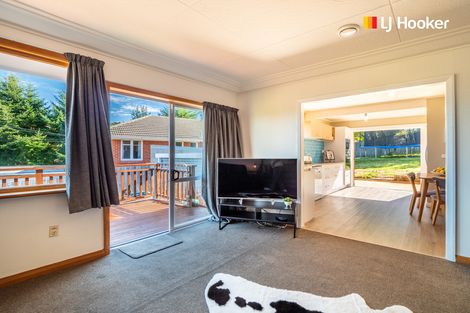 Photo of property in 346 Kenmure Road, Kenmure, Dunedin, 9011