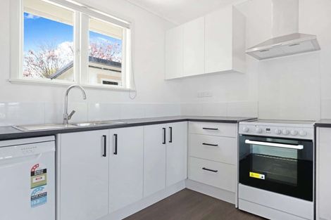 Photo of property in 62 Mahoe Street, Melville, Hamilton, 3206