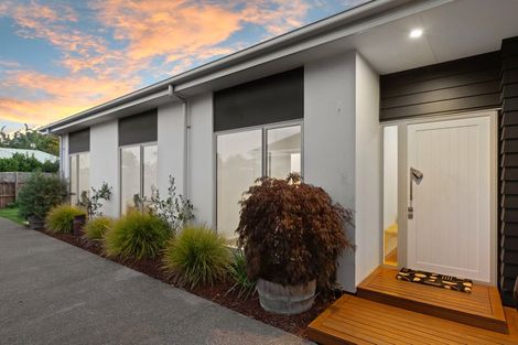 Photo of property in 46 Mcfaddens Road, St Albans, Christchurch, 8052