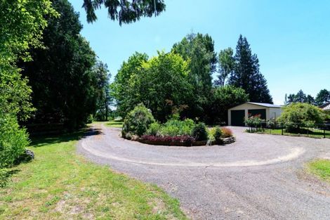 Photo of property in 493 Whirinaki Road, Galatea, Murupara, 3079