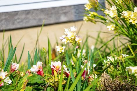 Photo of property in 31 Hillcrest Road, Otumoetai, Tauranga, 3110
