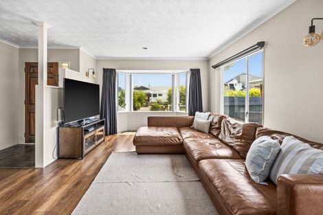 Photo of property in 53 Auckland Road, Greenmeadows, Napier, 4112