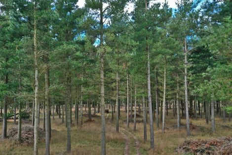 Photo of property in 2/374 Karanga Road, Dunsandel, Leeston, 7682